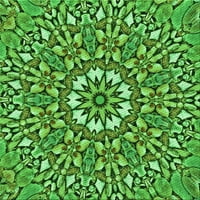 Ahgly Company u zatvorenom pravokutniku uzorke duboke smaragdne prostirke zelene površine, 8 '12 '