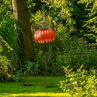 Lulshou baranski alati senzacija narančasto coneflower hranilac ptica na otvorenom vrtno uređenje dvorišta