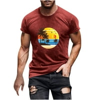 Košulje za muškarce Plus veličine 3D Sunset Palm Tree Digital Print kratki rukav okrugli vrat Tee majica