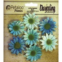 Darjeeling Mini daisies 7 pkg-teal
