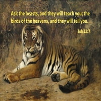 Biblijski stih citat Job 12: 7, Jean-Leon Gerome - Tiger II od Artsyquotes