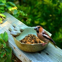 Vrtlarstvo Creative Feeder Bird Home Voćni ladici ukrasi Bird Feeder, Hummingbird Feeder