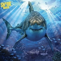 Discovery Channel Shark Week 3D Lentikularna slagalica -