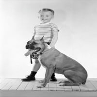 Dječak Holding Boxer Dog, Studio Shot Poster Print
