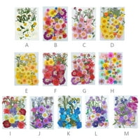 DiDO prirodni sušeni cvjetni reljefni obrtni buketi prešani cvijeće suhi cvjetni dekori za domaćinstvo za dovodni pokloni za svadbene kartice TIP 8