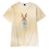 Cartoon Uskršnja majica za muške print kratkih rukava TOP 3D Ležerne prilike, majica za majicu Street
