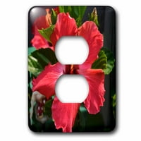 3Drose June Jutro Hibiscus Crveni hibiskusni cvijet - Priključak za utikač