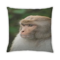 Ahgly Kompanija Životinje Monkey Jastuk za bacanje na otvorenom