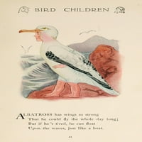 Djeca ptica Albatross Poster Print M.T. Ross
