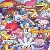 Sonic The Hedgehog 50B VF; IDW strip knjiga