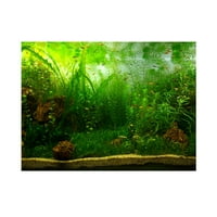 Papir za ribu, vodeni travnjak u obliku vode akvarij riblje rezervoarsko posteri PVC ljepljivi dekor