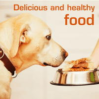 HealthyBones Rawhide Besplatna zdrava hrana za Chihuahua i ostale male pratnje pse Pileća zamotana štapići
