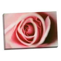 Gando Početna Decor ružičasta ruža Erin Berzel; Jedna 36x24IN ručno rastegnuta platna