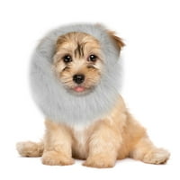 Funny PET divan štene lav partijski kostim ukras