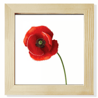 Kukuruzna crvena cvjetna umjetnost slikanje jednostavnosti kvadratni okvir okvira zidne tablice