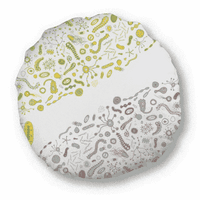 Slatka zeleno stvorenje ilustracija ilustracija za okrugli bacanje jastuka za ukrašavanje doma