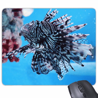 Trapična riba morski organizam Ocean Animal Mouse Tablica Neklizana gumena gumena mousepad ured za igre