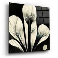Epic Art 'Cvijeće crno bijelo 13' Ray Heere, akril staklena zidna umjetnost, 36 x36