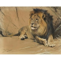 Wilhelm Kuhnert Black Ornate Wood Framed Double Matted Museum Art Print pod nazivom - Ležeći lav