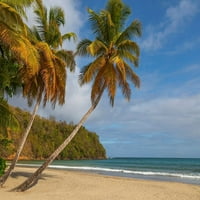 Karibi-Grenada-Grenadines Palm palme i ocean na plaži La Sagesse - Gales Galement