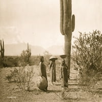 Tri žene, dvije od njih sa košarema na glavi, stojeći po postrojenju za kaktuse, Arizona. Print plakata