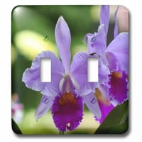3Droza orhideja - A - dvostruki preklopni prekidač