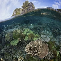 Zdrav i prekrasan koralni greben uspijeva u plitkoj vodi u Raji Ampat, Indonezija. Print postera Ethan