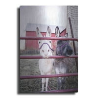 Luxe Metal Art 'mama i kćeri magarci' od Donnie Quillen Metal Wall Art, 16 x24