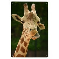 Giraffe Face Birch Wood Wall znak