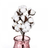 Cvijeće pamučne matice - umjetno sušeno pamučno cvijeće Bulk Realistic Fau pamučne stabljike za vazu
