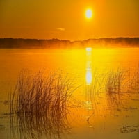 Kanada-Saskatchewan-Saskatoon Island Provincial Park Reeds odražavaju na Saskatoon Lake na Sunriseu
