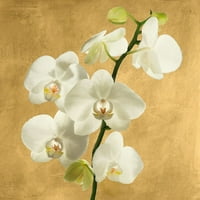Orhideje na zlatnoj pozadini II Andrea Antinori