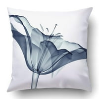 Slika cvijeta izolirana na bijelom poklopcu jastuka od jastučnog jastuka od lilly 3D