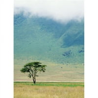 Posteranzi DPI Ngorongoro Crater Poster Print, 18