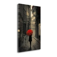 17 26 Crvena kiša od strane Stefano Corso-Wall Art Print na platnu Tkaninu višeboj