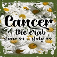 Daisy cvijet Zidna umjetnička raka Rač CURZIVE 21. jula Zodijak znak Astrologija Tin zidni znak Decor