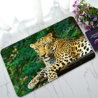 Pogledajte lijepu Leopard Cat Doormat ulazne propise Područje rupa Podna mat