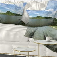 Art Designart 'Wide Lake Trees SkysCape' Pejzažni ispisani jastuk. In. Medium