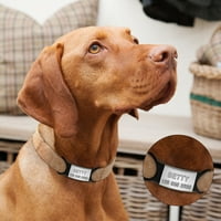BIPLUT TAG PET Oznaka ugraviranog klizača otporan na hrđe metal-na matičnoj mreži za srednji psa