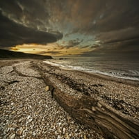 Driftwood na šljunčanoj plaži za zalazak sunca sa tamnim oblacima na dramatičnom nebu; Južni štitnici,