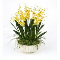 Međunarodne zlatne žuto plesne orhideje s travom u velikoj ploči