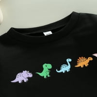 SDGHG Kid Baby Jesenski pulover, šareni dinosaurus ispis dugih rukava o o-vratu labavi duks za dječake