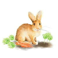 Spring Bunny III Poster Print autor Andi Metz