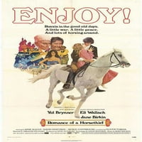 Romantika lopova konja - filmski poster