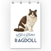 Ragdoll Cat, život je bolji
