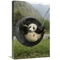 Global Galerija in. Giant Panda Cub Igra u ljuljačkih guma, Rezervat prirode Wolong, Kina Art Print