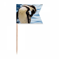 Ocean Antarktik Pingvin Naucnosti Slika za slike čačkalice za zastave za zastave za označavanje za zabavu