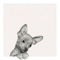 Sweet Chihuahua Poster Print Jon Bertelli