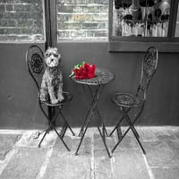 Pas koji sjedi na stolici s bankom ruža na tabeli plakata ispisa Assaf Franka