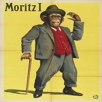 Moritz i majmun noseći odijelo sa printom postera